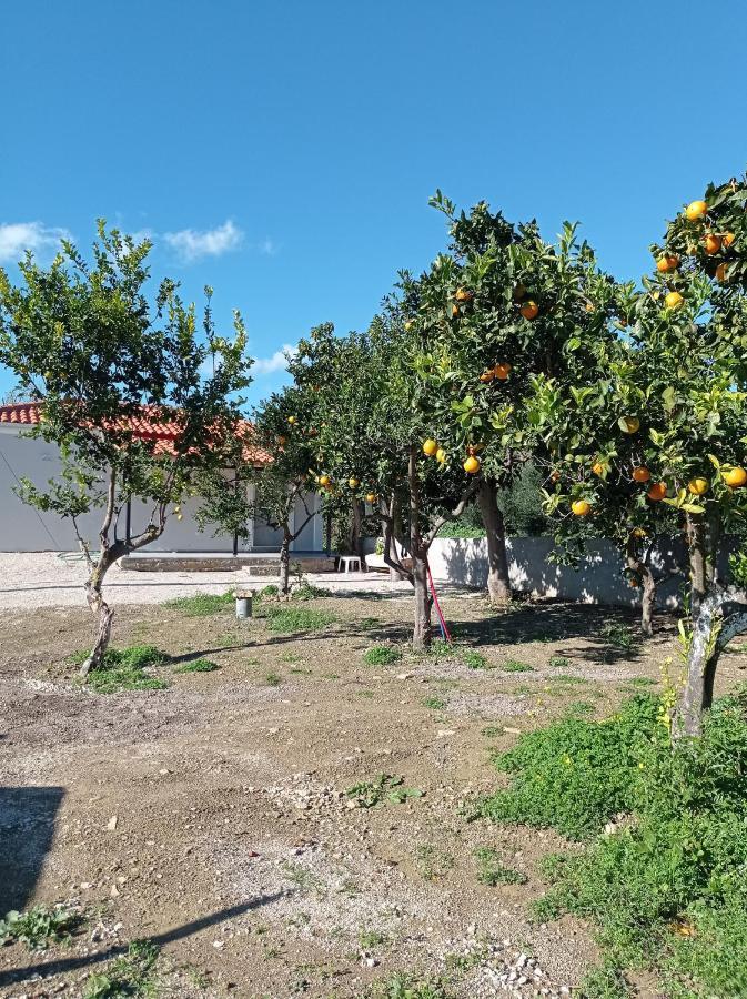 Avocado House Villa Finikounta Exterior photo