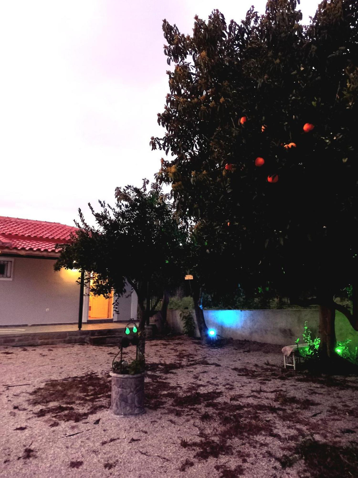 Avocado House Villa Finikounta Exterior photo
